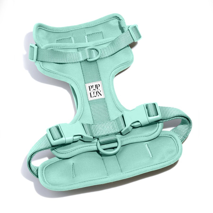 dust & bloom pre order - harness only