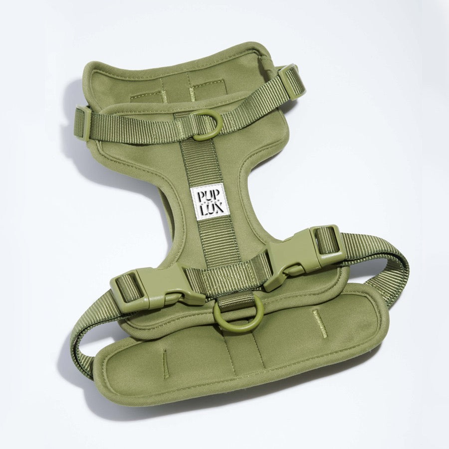 dust & bloom pre order - harness only