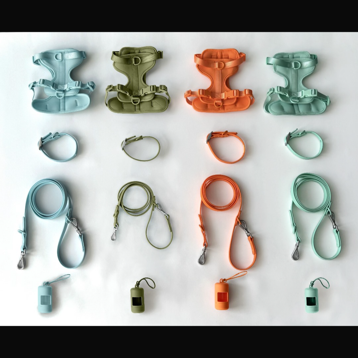 dust & bloom pre order - harness only