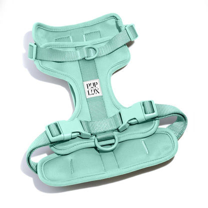 dust & bloom pre order - harness only