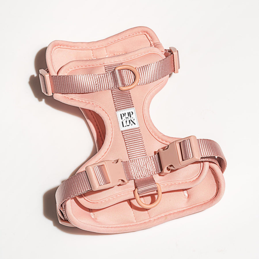 Lux dog harness