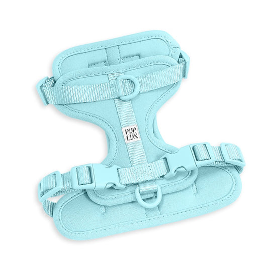 dust & bloom pre order - harness set