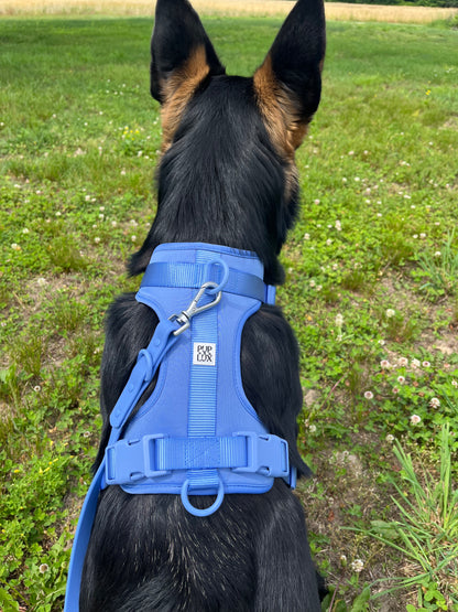 Lux dog harness