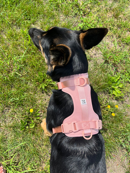 Lux dog harness