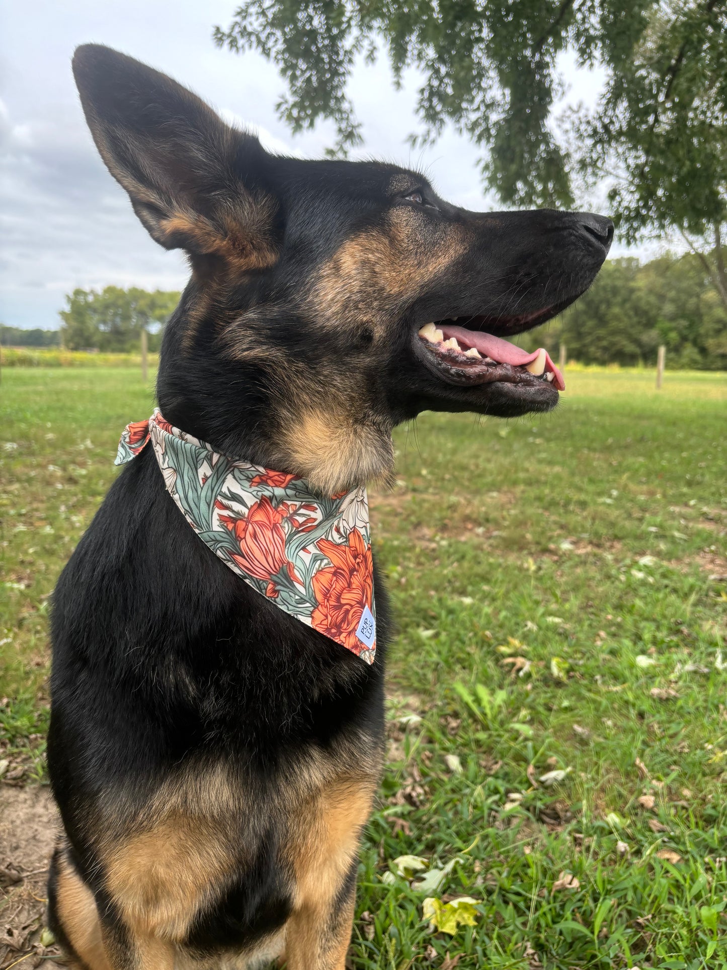 rustic petals bandana