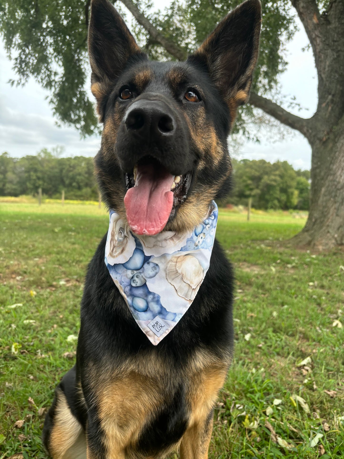 CUSTOM bandanas