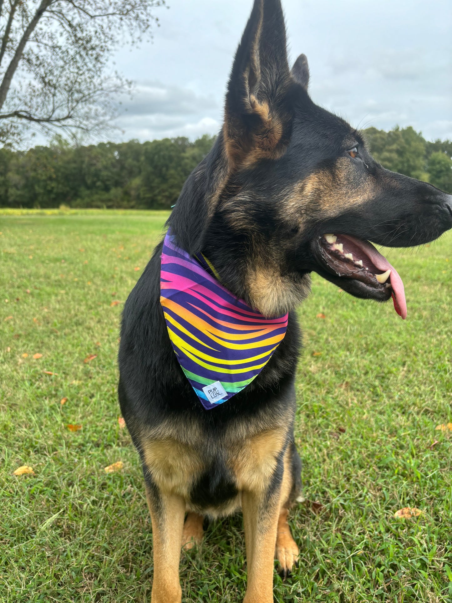 CUSTOM bandanas