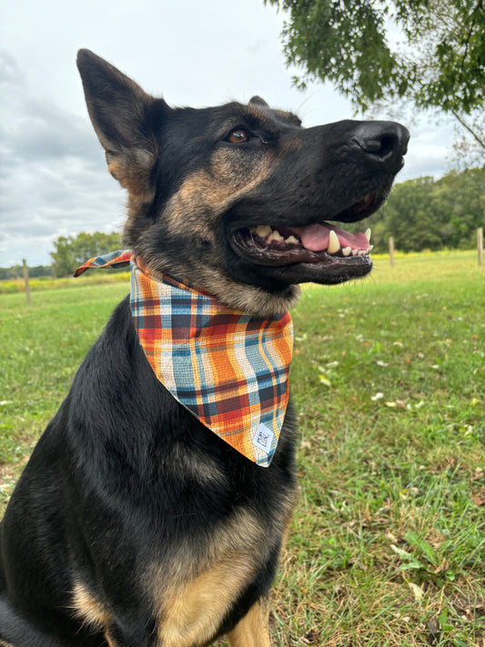 Pups & Plaid bandana