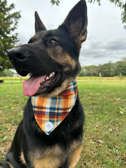 CUSTOM bandanas