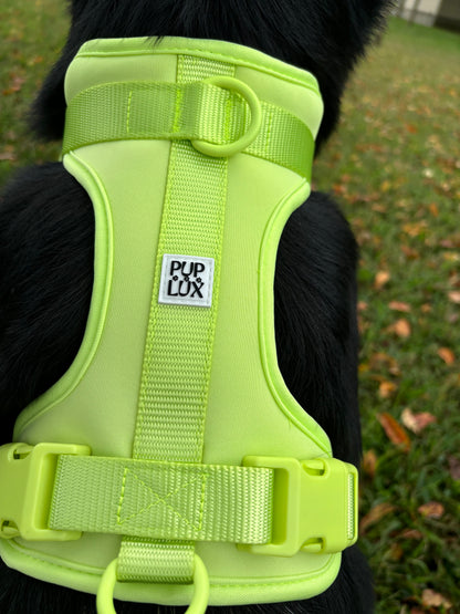 LIMITED EDITION CUSTOM HARNESS