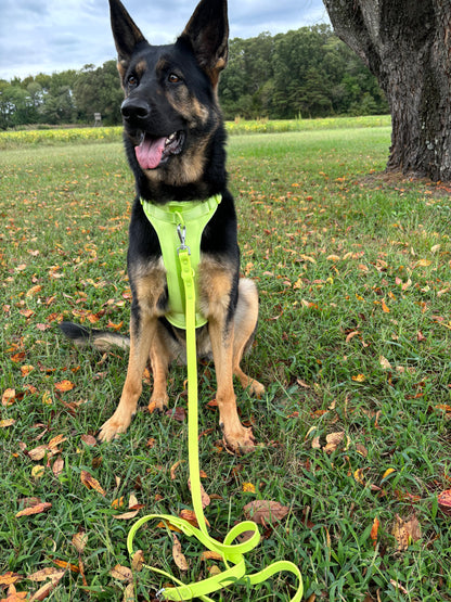 CUSTOM LIMITED EDITION HARNESS & LEASH BUNDLE