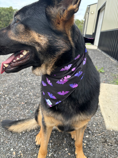 Bat-ty bandana