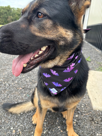 Bat-ty bandana