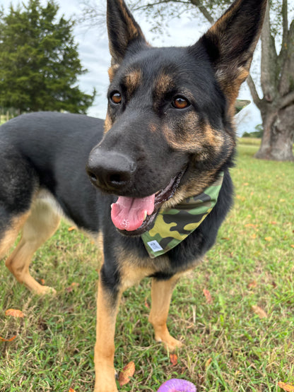 Into the wild bandana