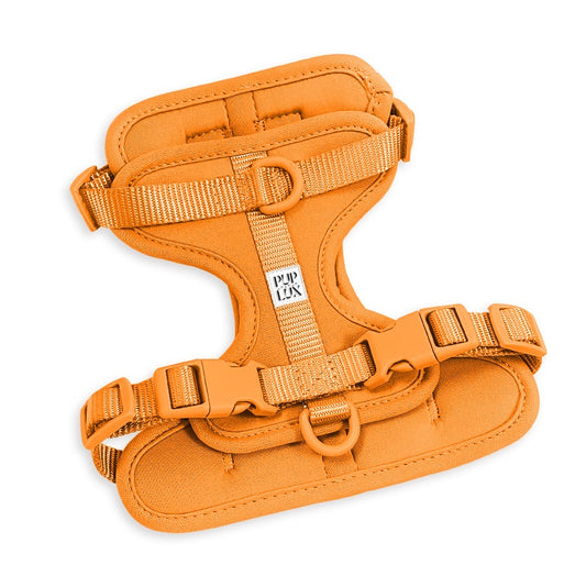 dust & bloom pre order - harness only